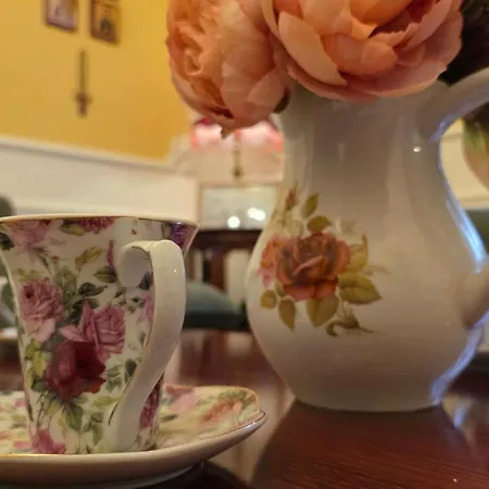 Vracar Luxury דירה *