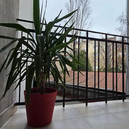 דירה Vracar Luxury