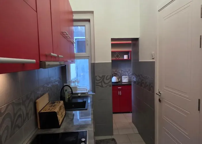 Vracar Luxury דירה