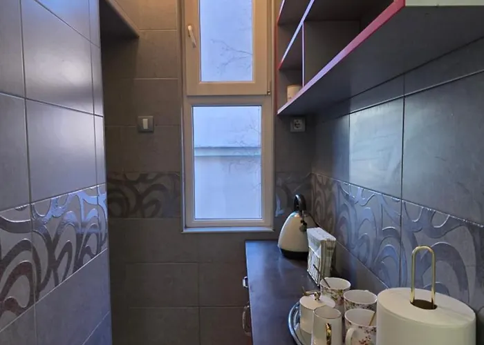 דירה Vracar Luxury בלגרד