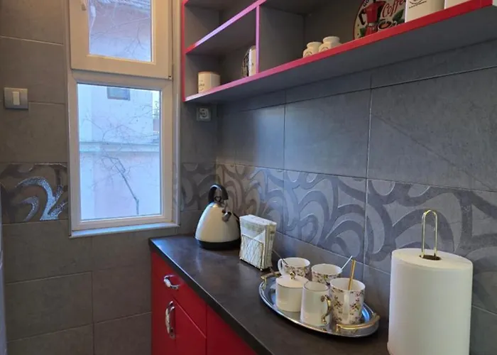 Vracar Luxury דירה *