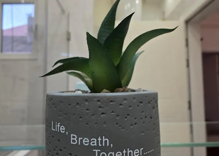 Vracar Luxury Beograd